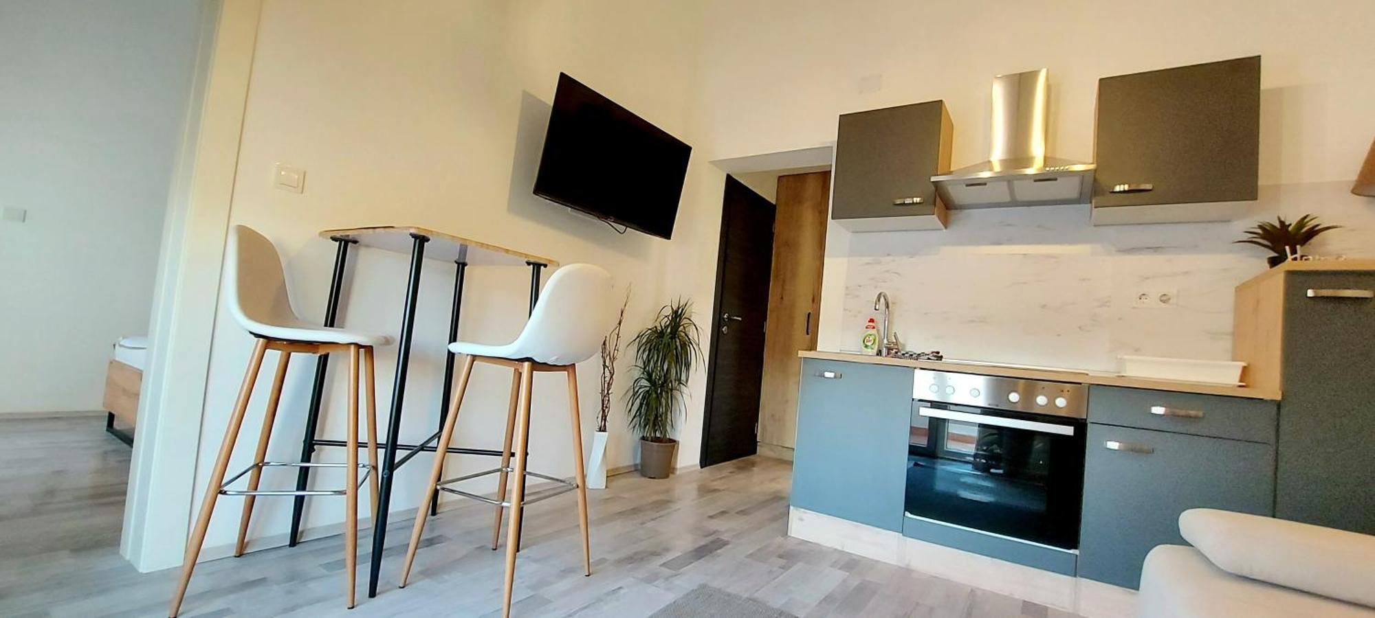 Guest House Galeb2 スペタルスカ・ドラガ 部屋 写真